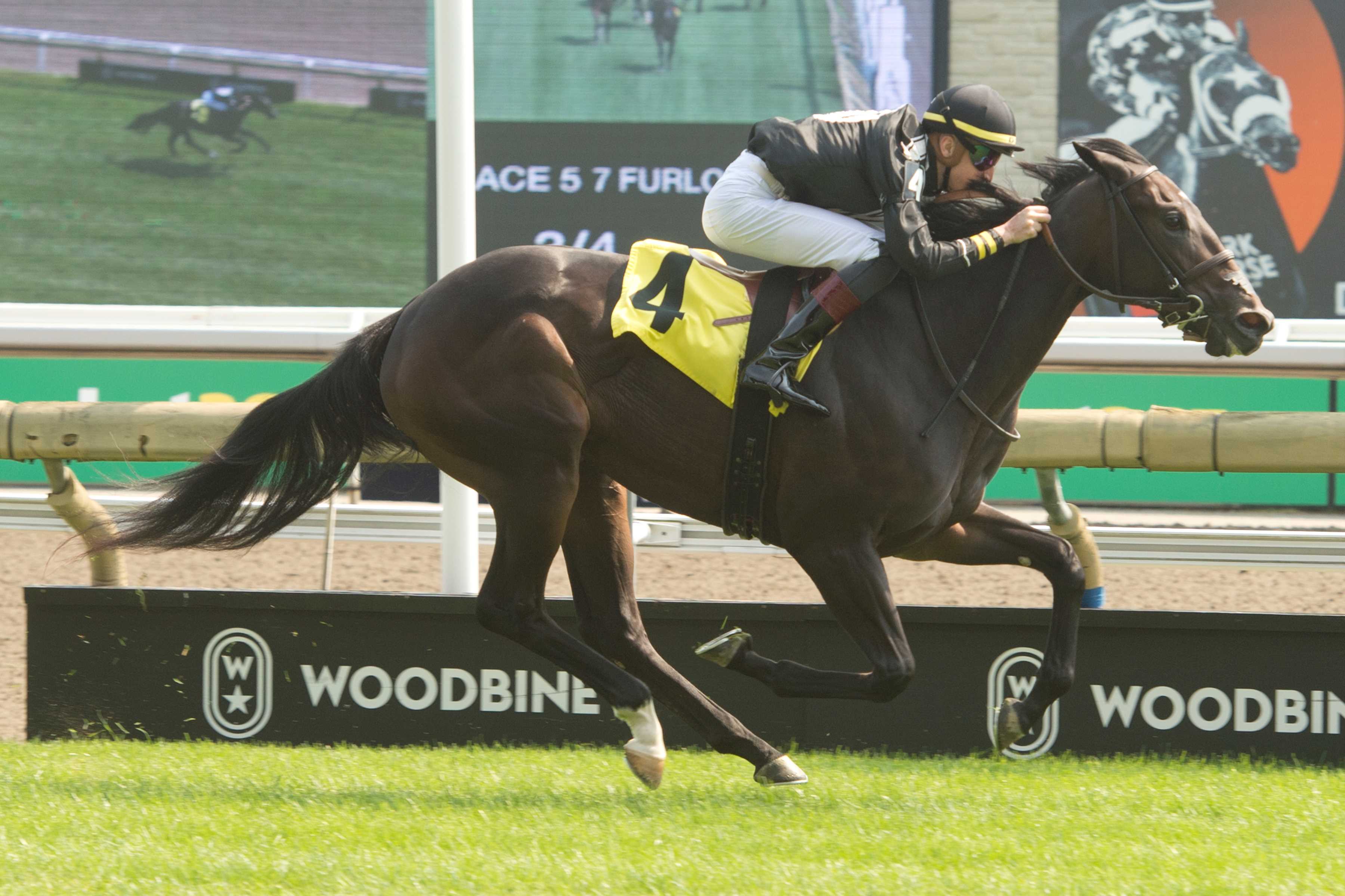 Four-time Alywow winner Mark Casse sends out four in this year’s edition