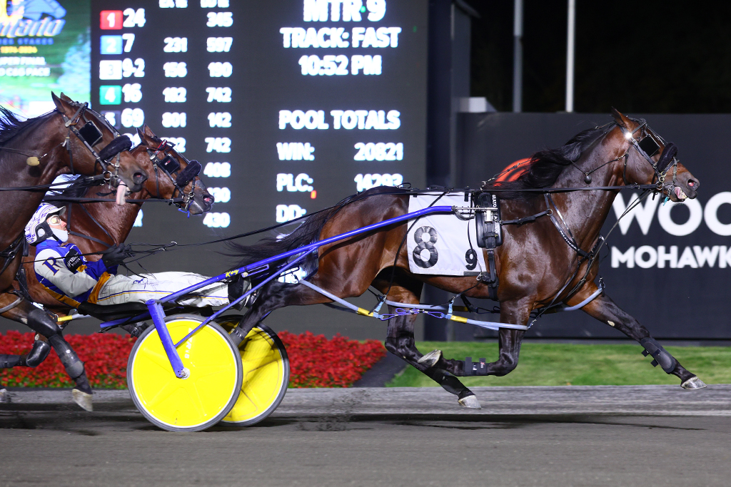 Trainers, horses to watch at Fort Erie Race Track's 2024 Opening Day ...