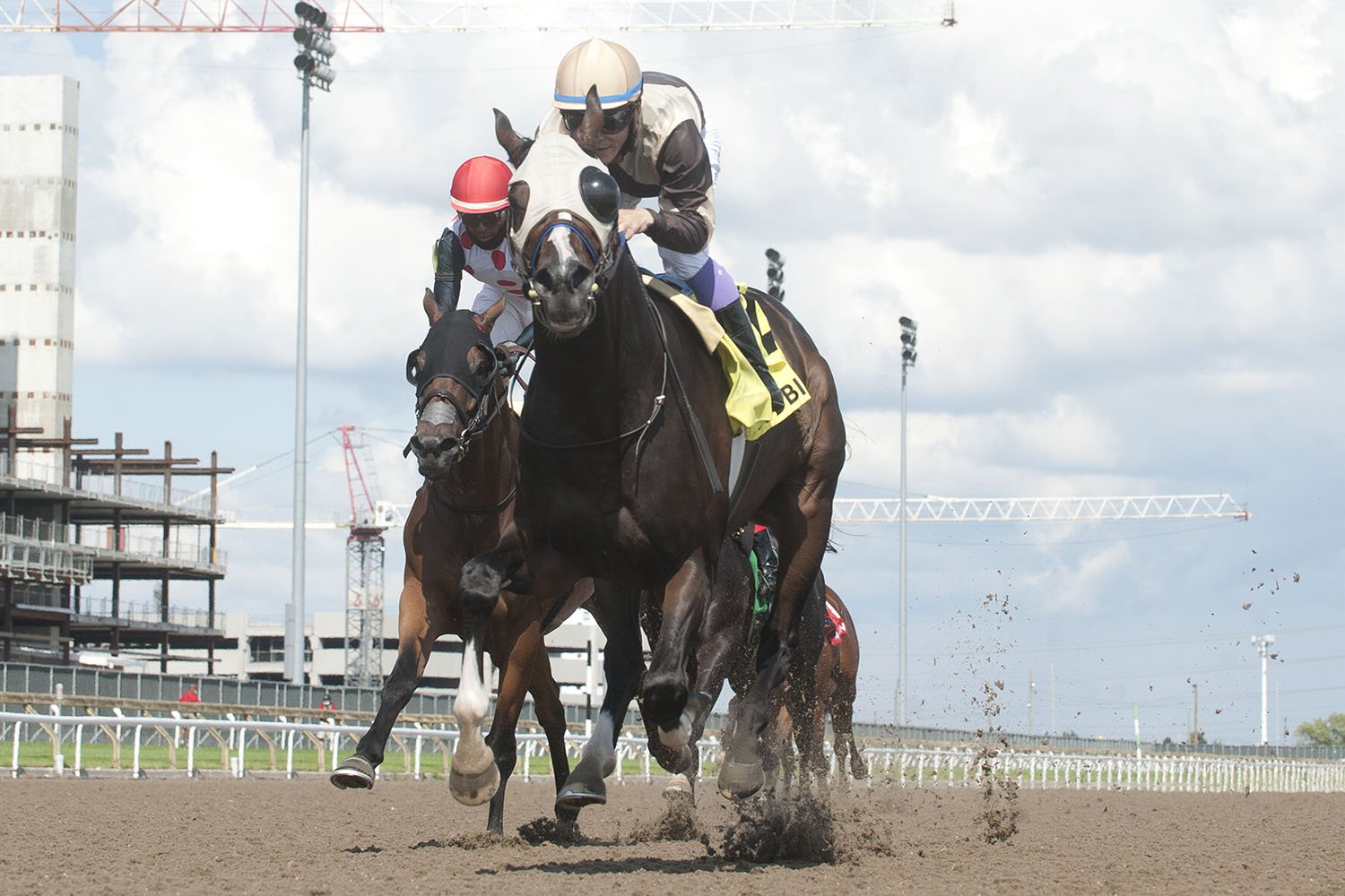 Ontario Breds Abroad - Volume 7