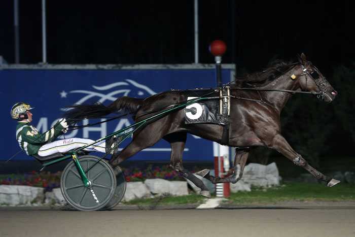 Hannelore Hanover dazzles in Maple Leaf Trot