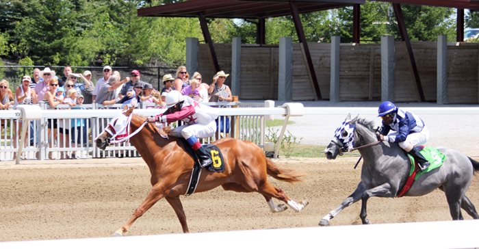 Ontario Racing Consultation meeting in Port Perry