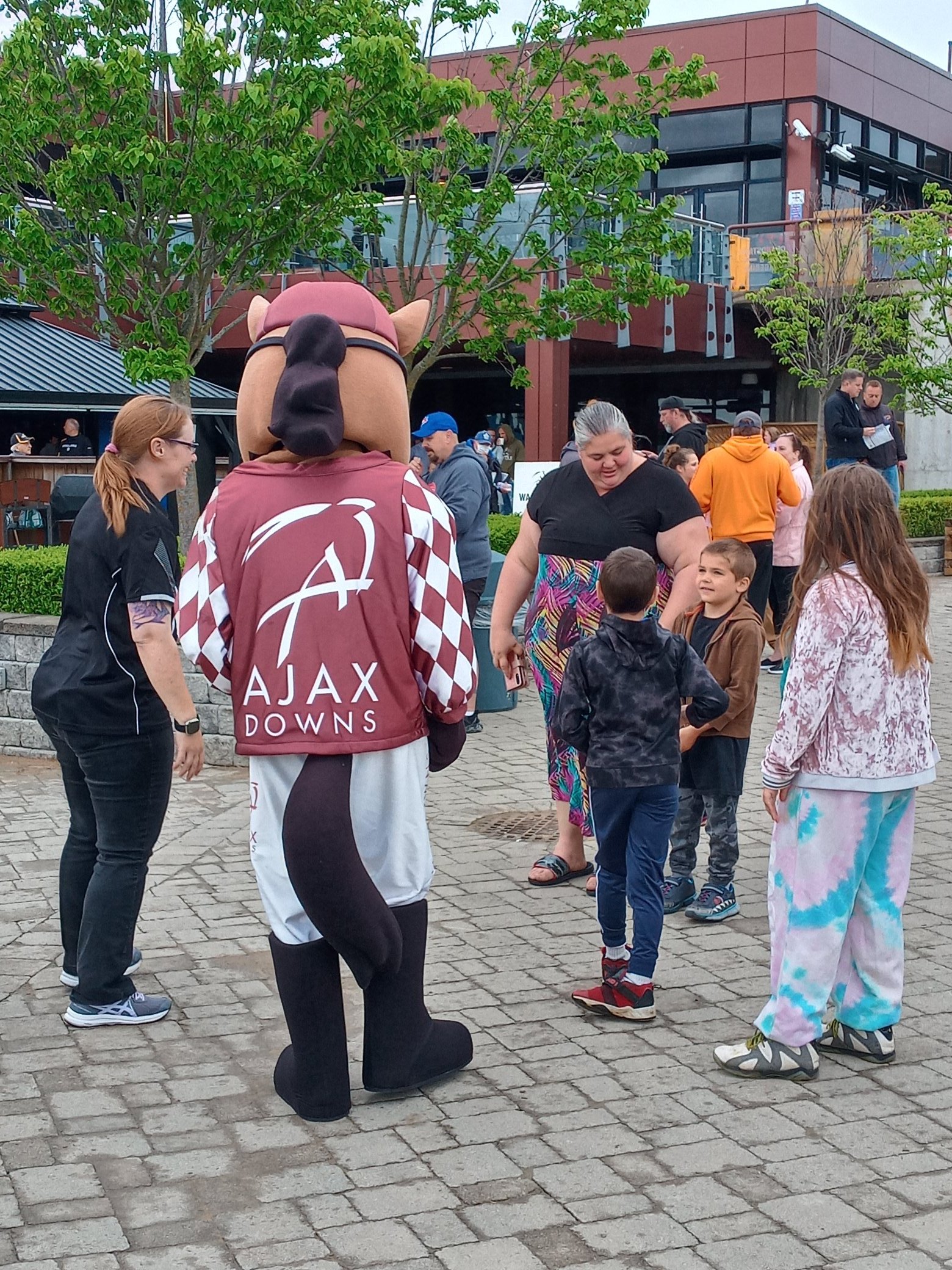 Fans-Horse-Mascot