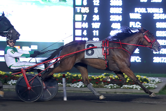 Trotting stars pad their point tally in final Gold Leg