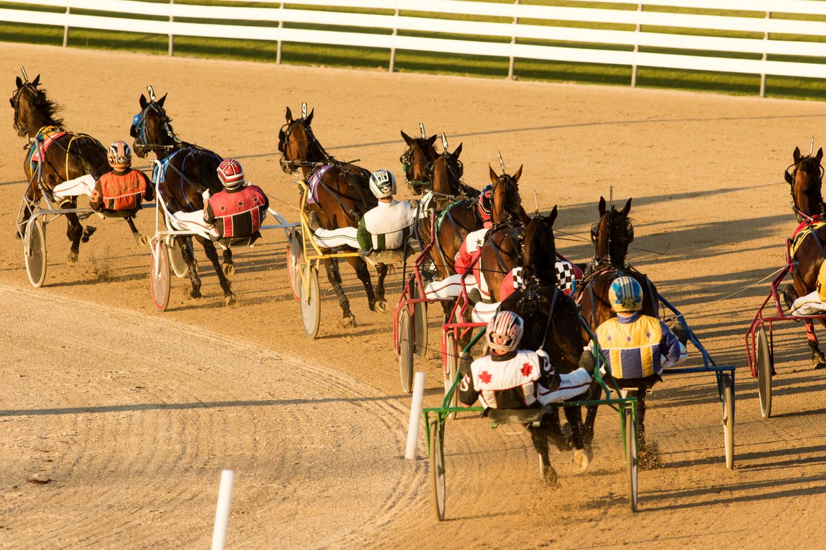 Garnet Barnsdale’s Flamboro Downs Selections: Sunday, March 28, 2021
