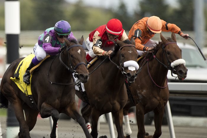 Jeff Bratt's Queen's Plate picks