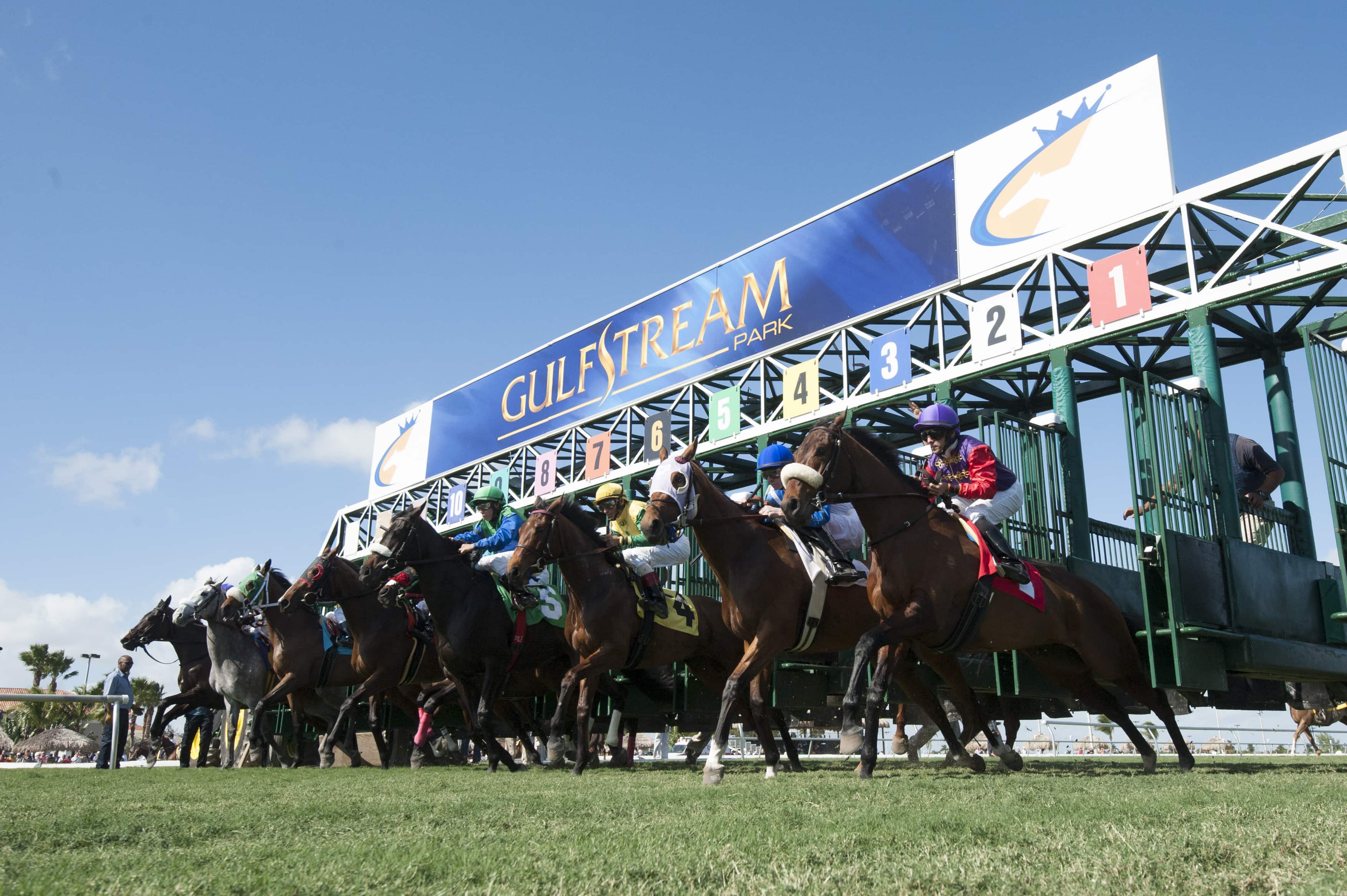 Jennifer Morrison's Play of the Day (and Florida Derby Pick)