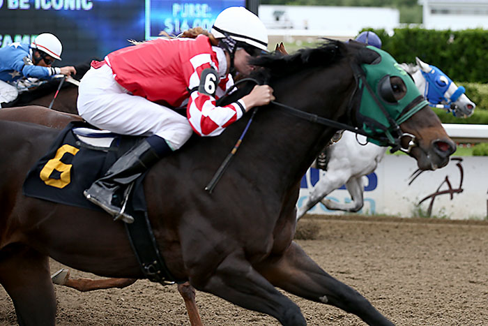 Two big bosses at Ajax Downs