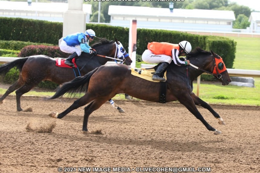 Jess a Sweet Suprize Seeks Sprint Series Sweep September 8 at Ajax Downs