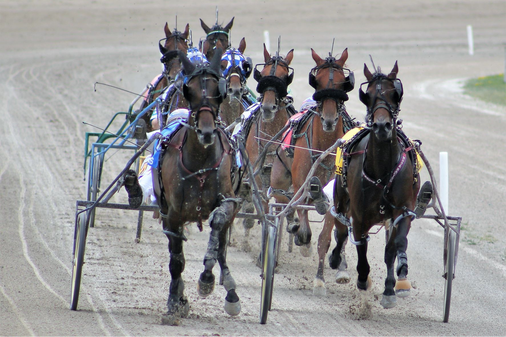 Melissa Keith’s Rideau Carleton Raceway Selections: Sunday, November 14, 2021