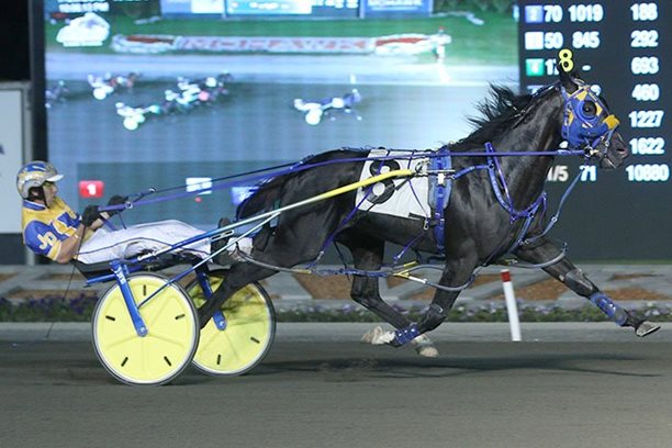 Betting Line makes it six; Nvestment Bluechip starts with one