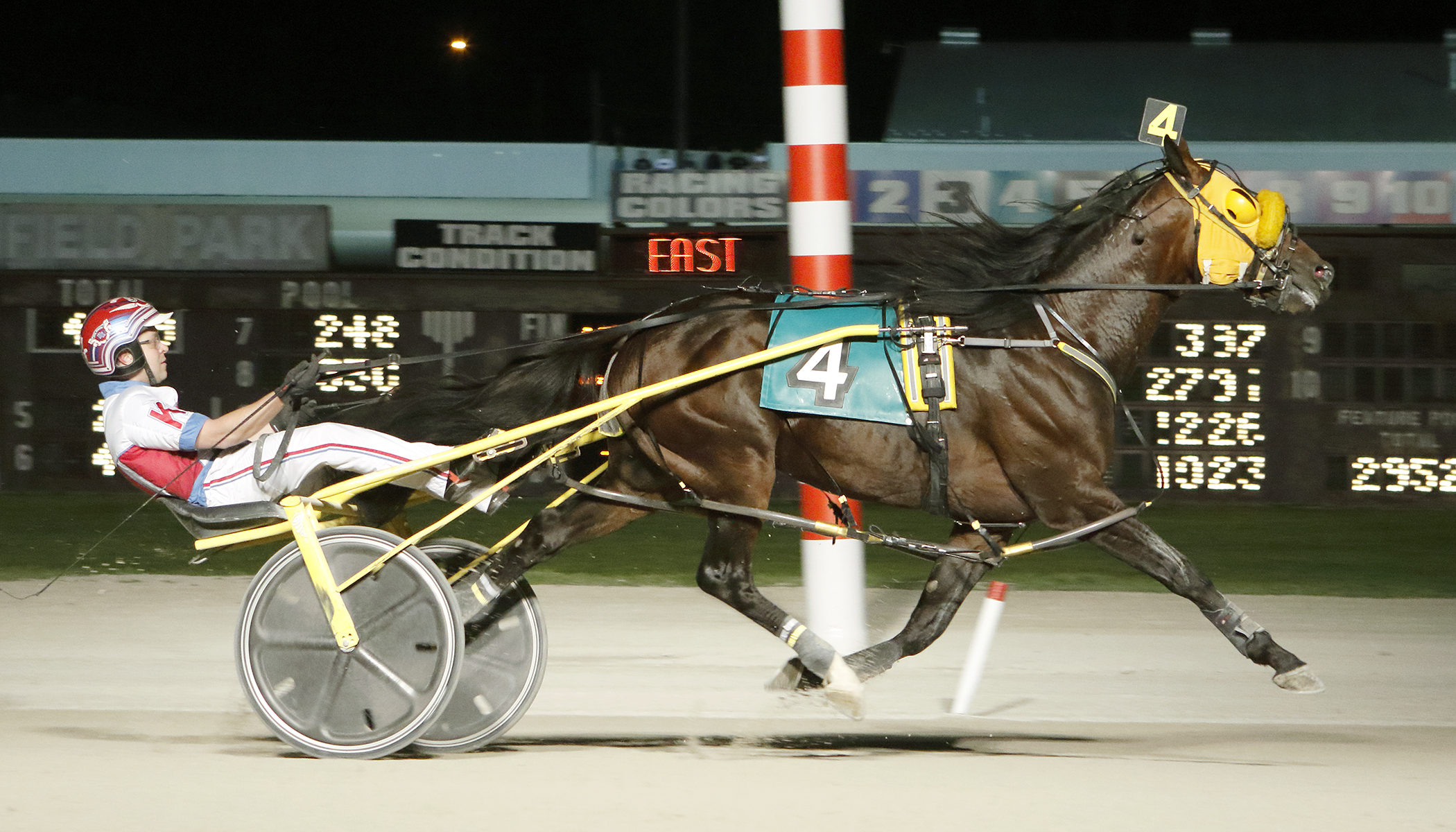 Ontario Sires Stakes Stallion Spotlight: All Bets Off