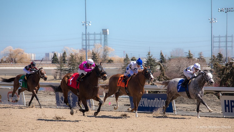 Info Bulletin No. 68 – Concussion Protocol Pilot: Introduction of a Standards-Based Rule