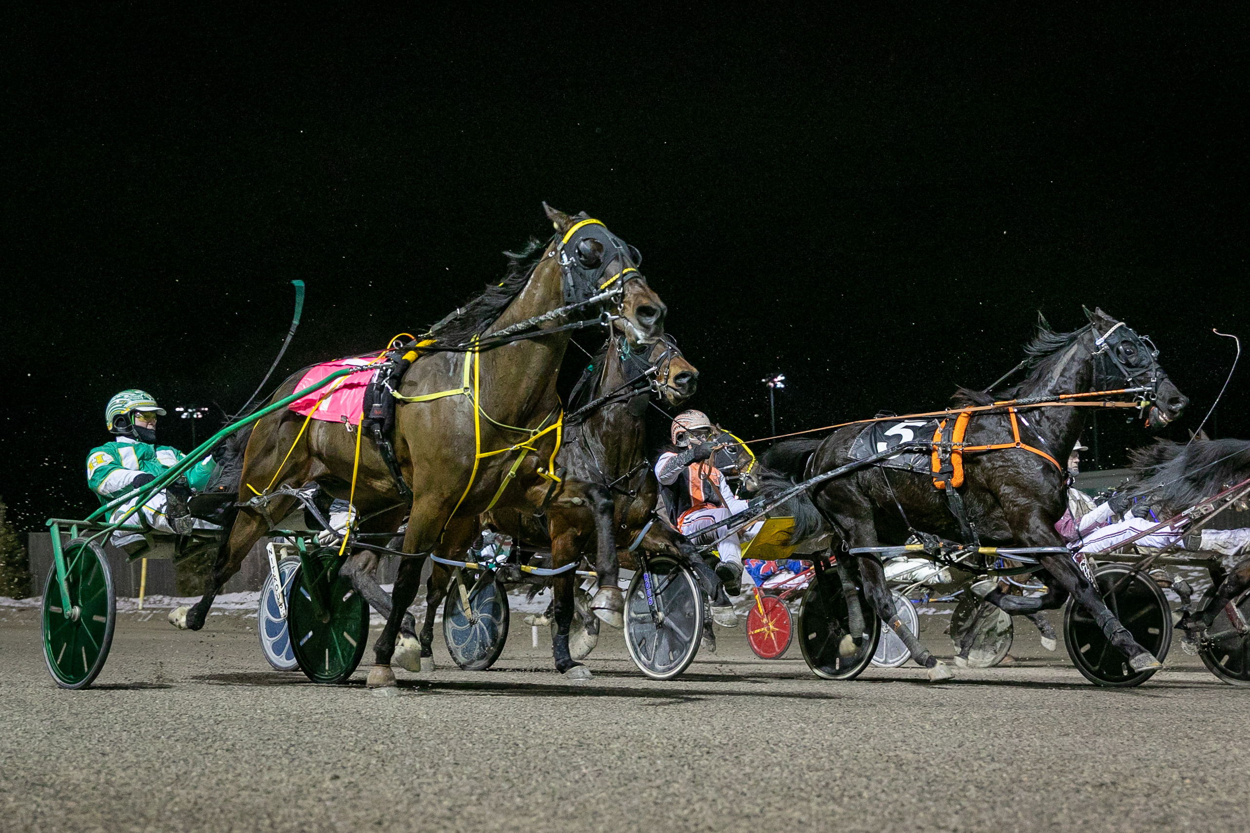 Melissa Keith’s Western Fair Raceway Selections: Tuesday, January 28, 2020