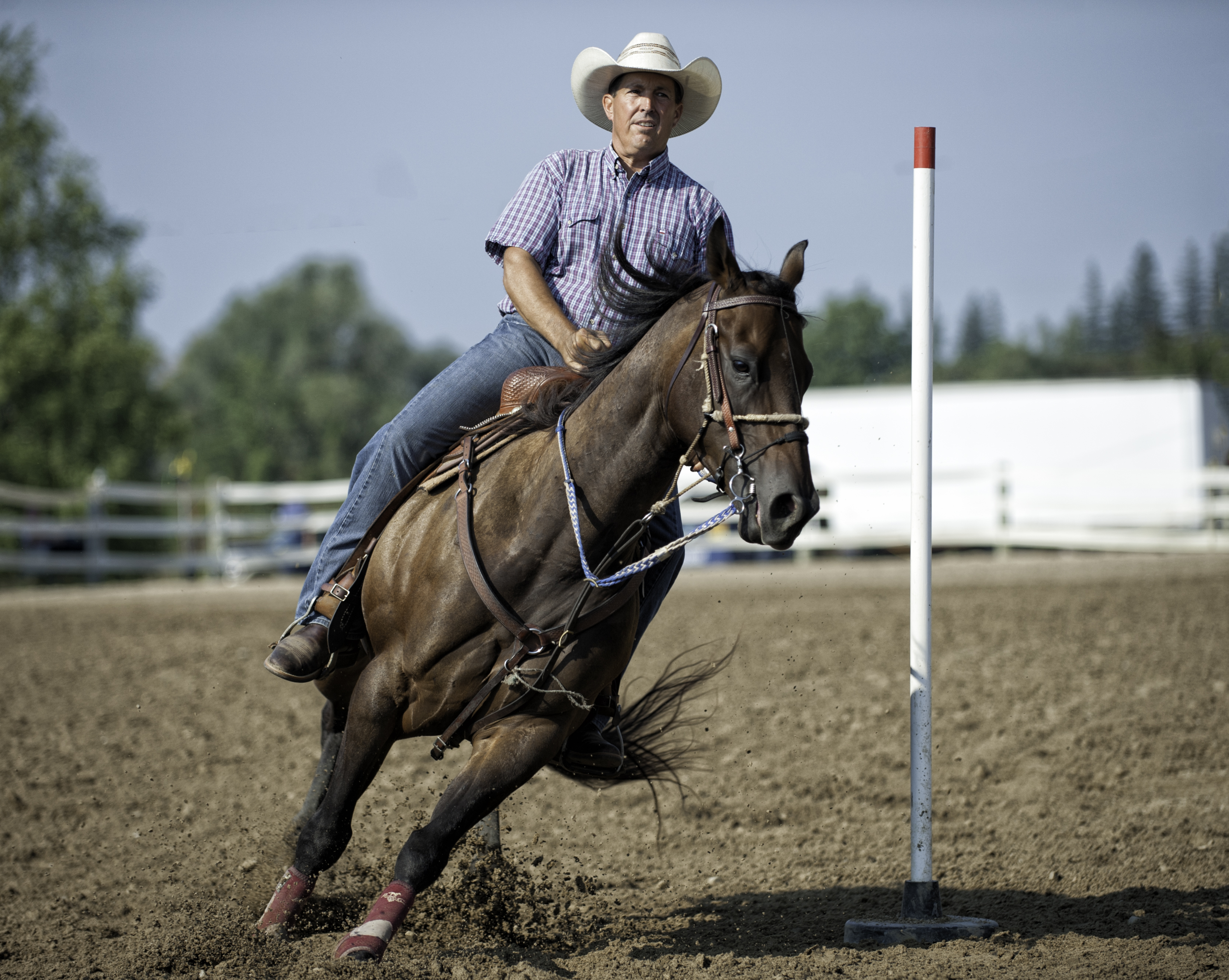 Feature: Quarter Horse Post Racing Incentive Program Expands
