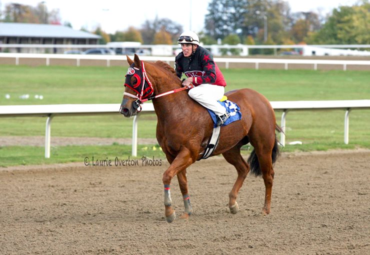 Brisk Business on Ajax Downs Closing Day