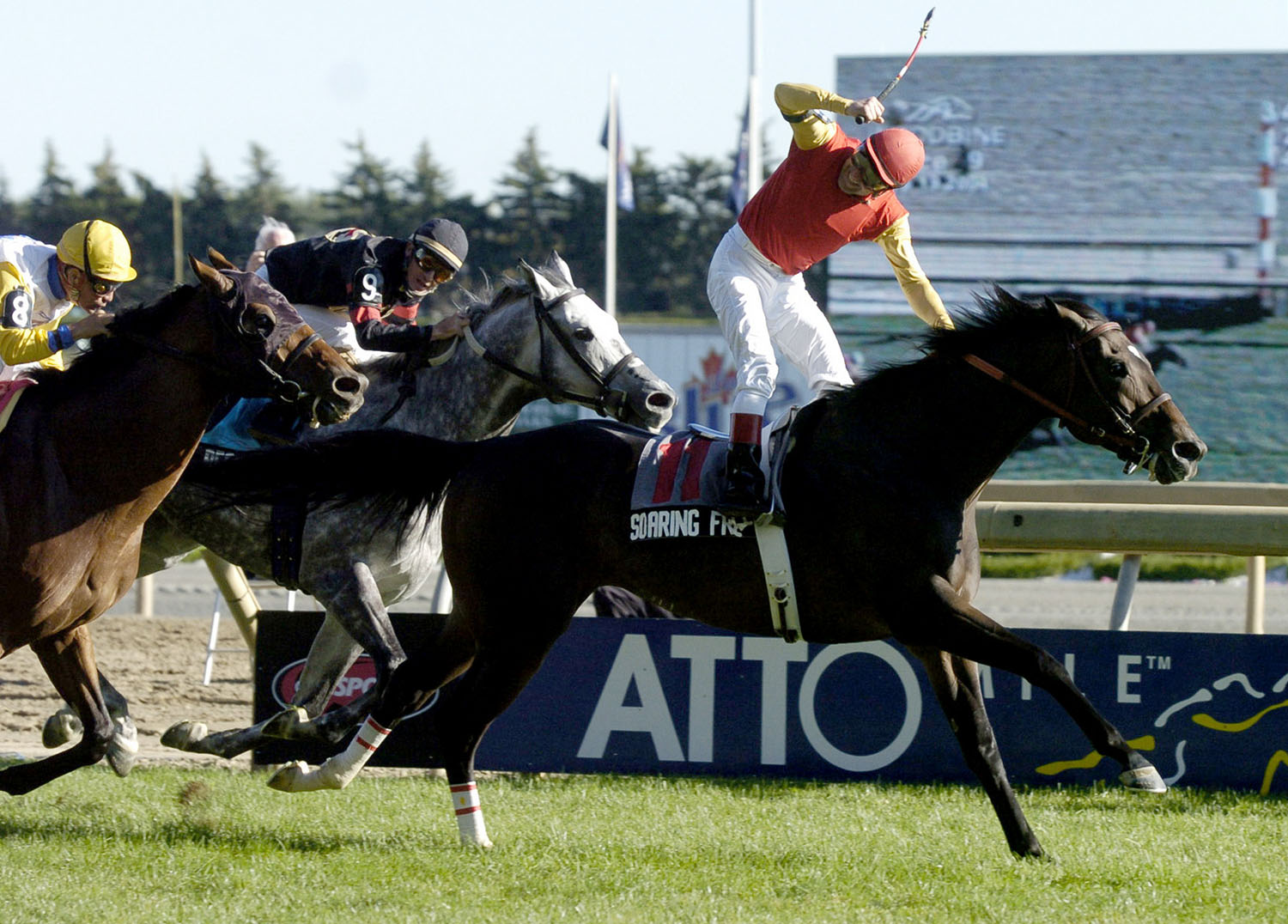 New two-year-old turf stakes for Woodbine's 2018 meet