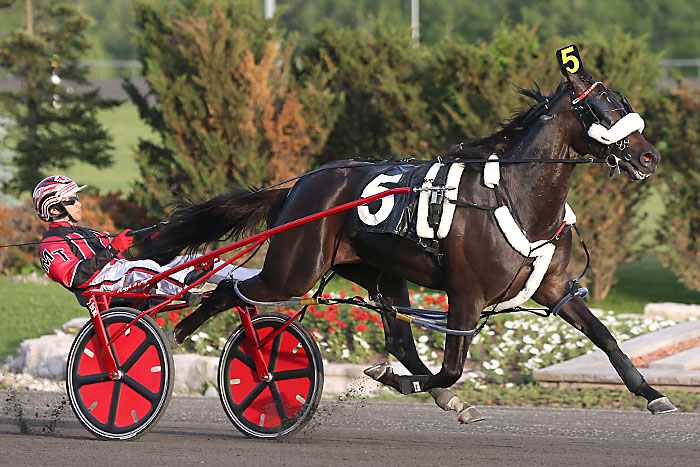 Horse of the Year showdown Saturday at Mohawk