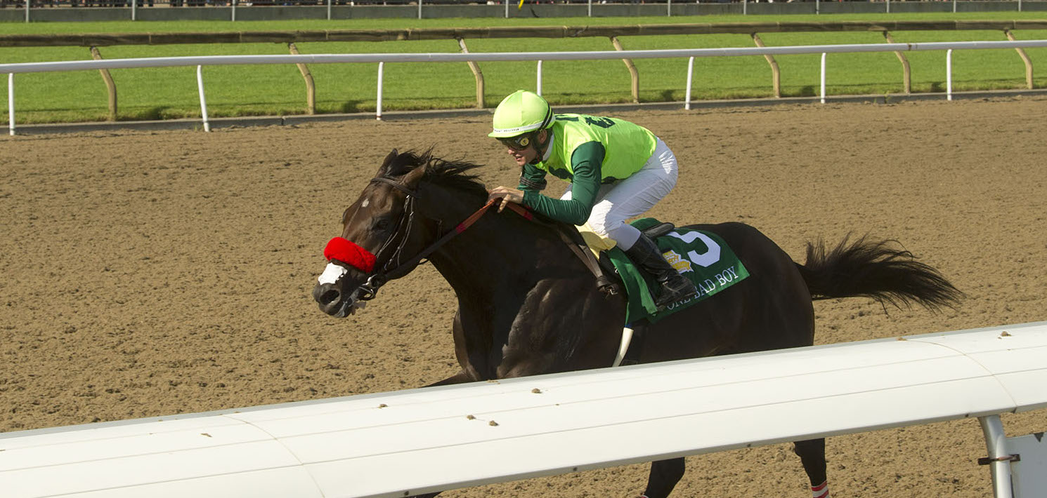 Premium grandstand tickets now on sale for 2020 Queen’s Plate