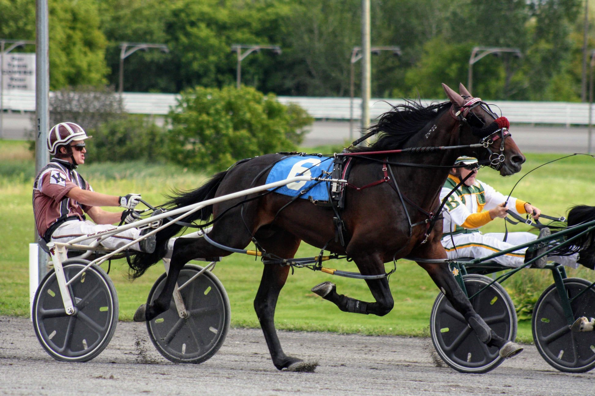 Michael Bozich's Rideau Carleton Selections: Sunday, June 9, 2019