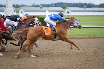 QROOI 2017 Awards Banquet