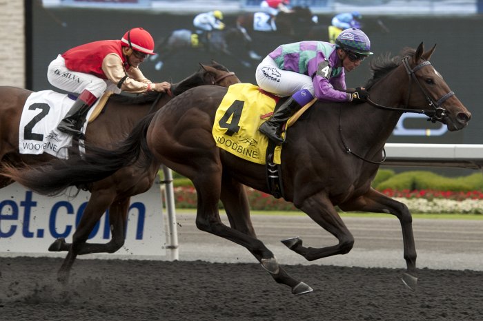 Thoroughbred expert Molly Jo Rosen's Queen's Plate take