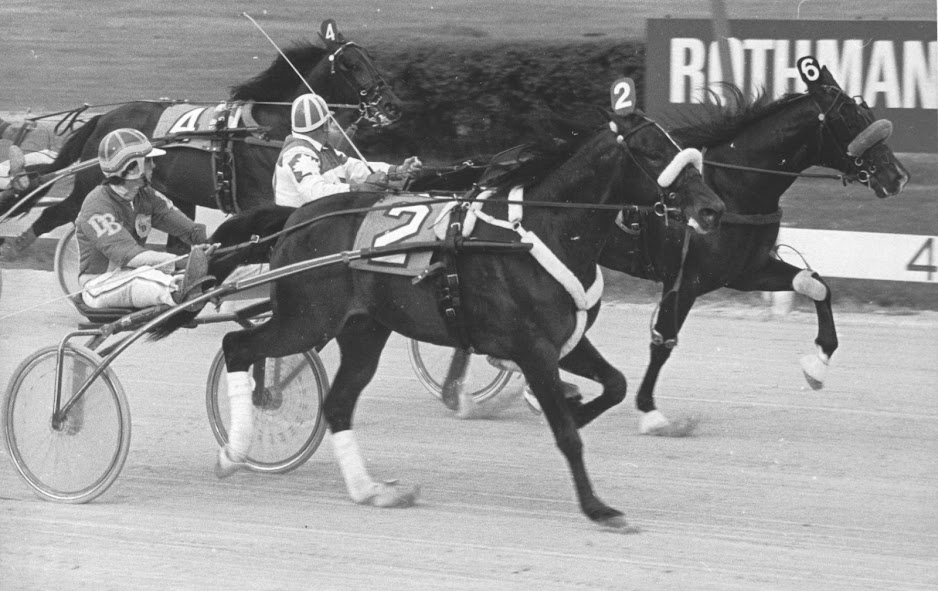 Armbro Acadian (2), a trotting colt, and driver Dave Boughton was a class leader as both a two- and three-year old.