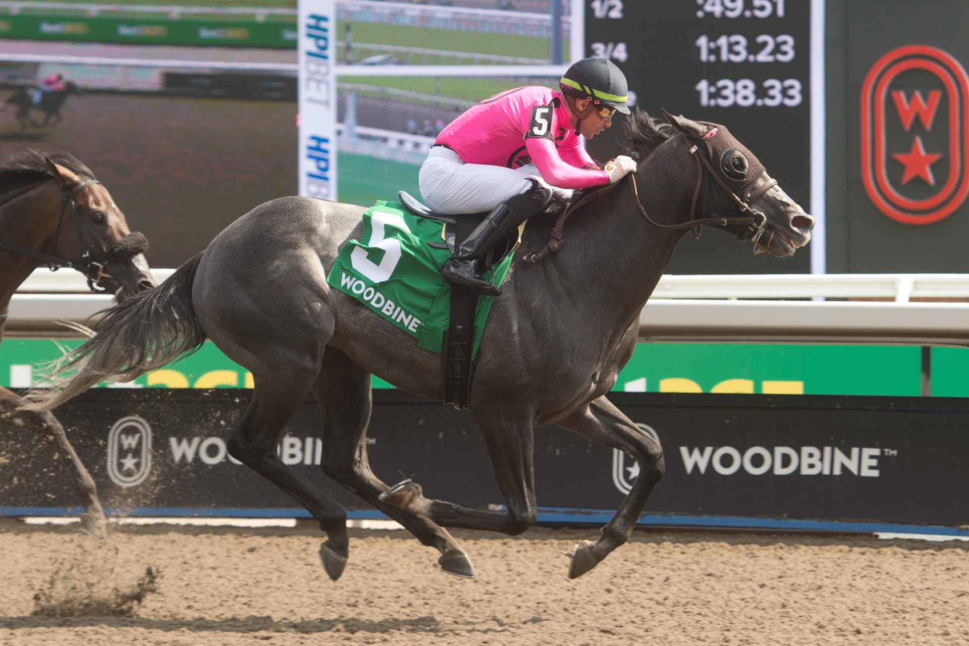 My Boy Prince and jockey Sahin Civaci winning the Plate Trial Stakes on July 20, 2023 (Michael Burns Photo)