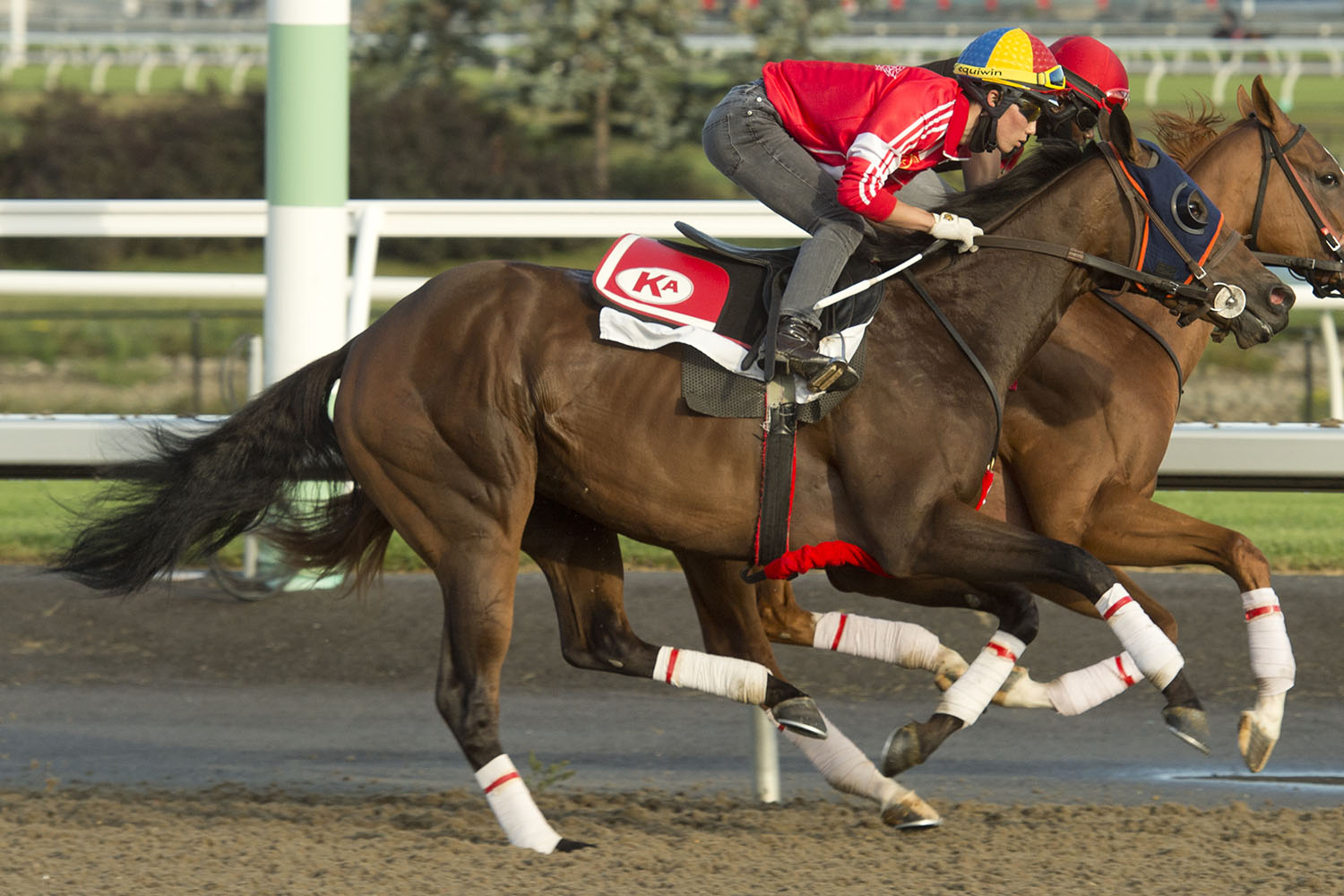 Queen’s Plate post position draw to be live streamed on September 9