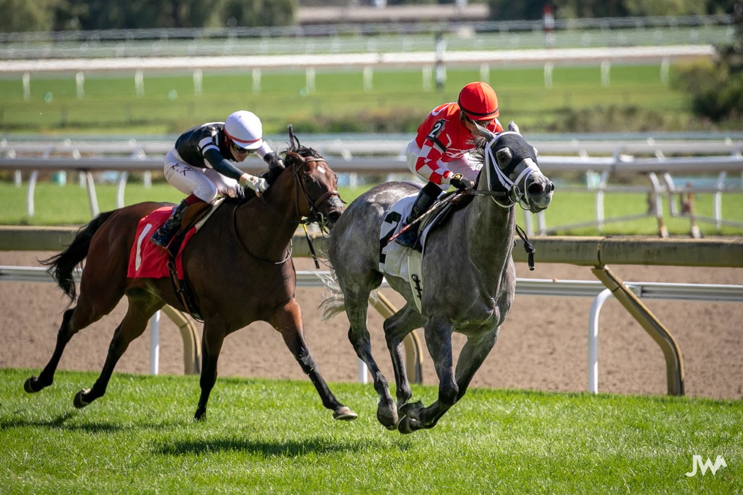Jennifer Morrison’s Woodbine Thoroughbred Selections: Sunday, October 10, 2021