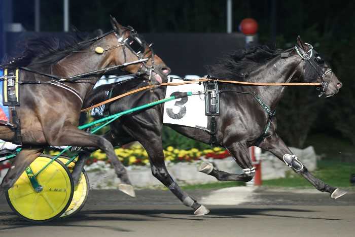 Courtly Choice scores stunning upset in Canadian Pacing Derby / Guardian Angel As soars to Maple Leaf Trot victory 