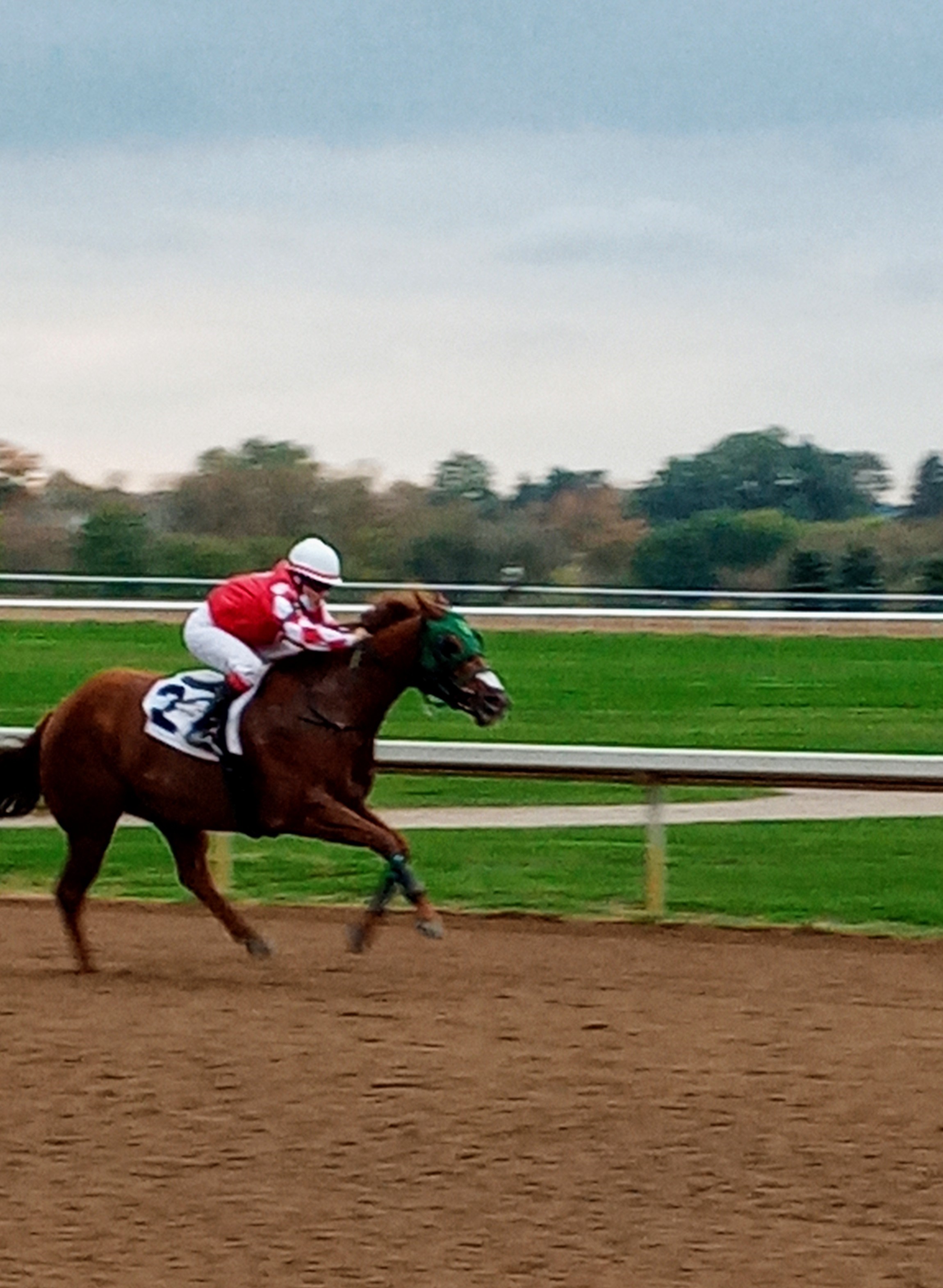 Picov Maturity winner Firing Red Jess Takes Oct. 13 at Ajax Downs