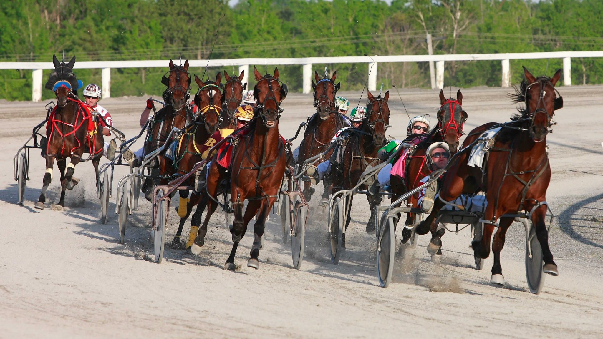 Garnet Barnsdale’s Kawartha Downs Selections: Saturday, August 14, 2021