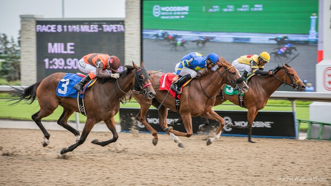 Jennifer Morrison’s Woodbine Thoroughbred Selections: Friday, August 7, 2020