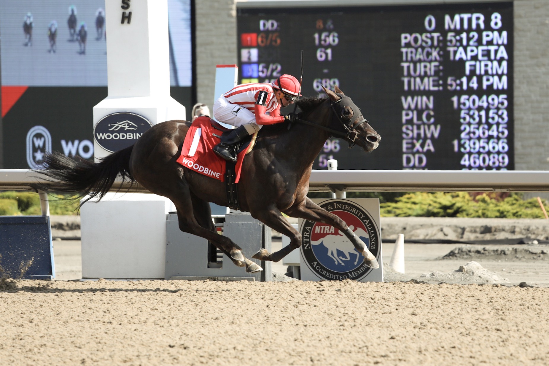 Jennifer Morrison’s Woodbine Thoroughbred Selections: Friday, July 31, 2020