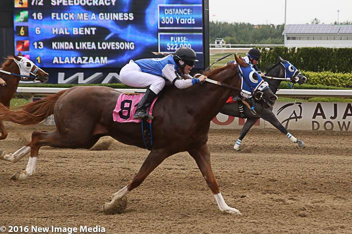 Exciting $73,000 Ontario Sires Stakes Derby Final on Sunday