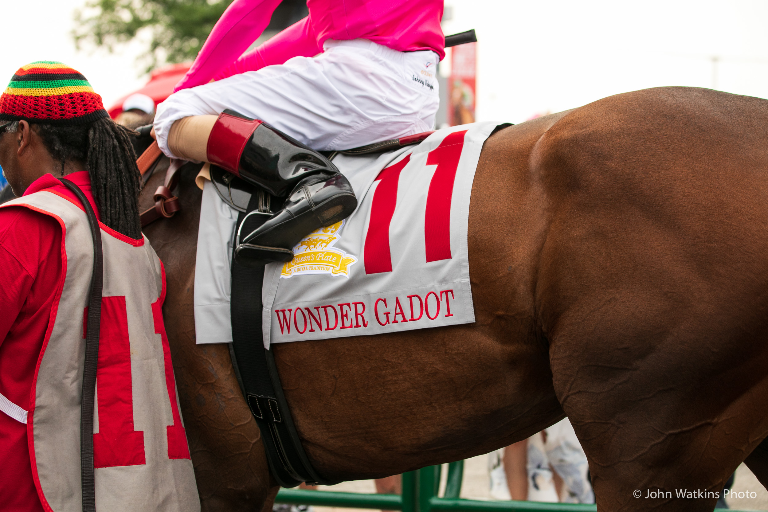 Prince of Wales Stakes attracts top four Queen's Plate finishers