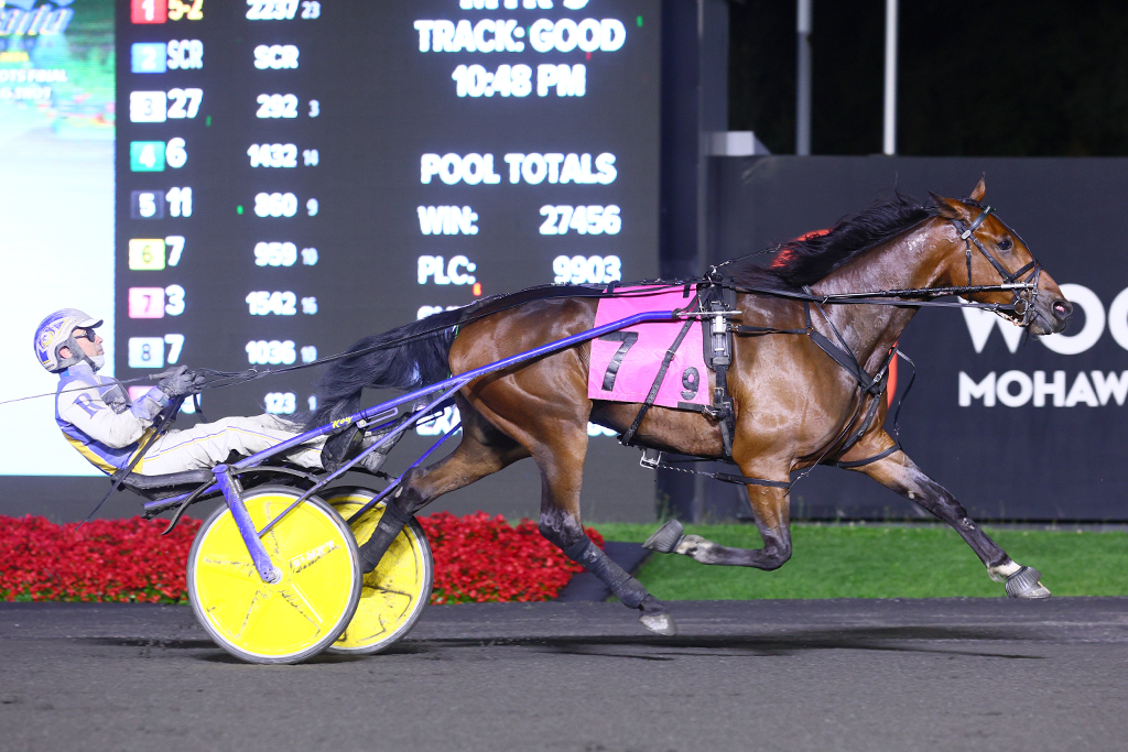 Bittersweet victory for sophomore trotting colt Grambling Hall in Grassroots Final