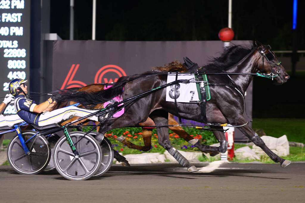 Willowtime has back-to-back OSS victories in the last two starts with Bob McClure (New Image Media).