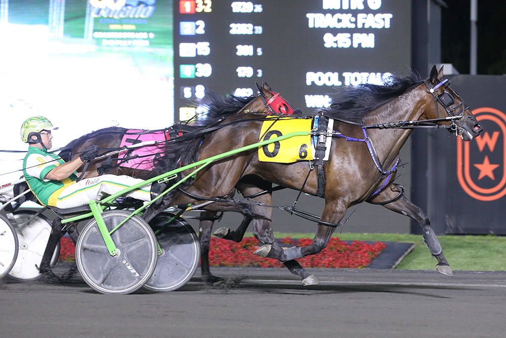 Rookie Grassroots, Prospect Series filly pacers show out Kawartha Downs