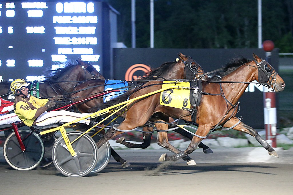 Ontario Sired Magical Arthur Wins Somebeachsomewhere Division