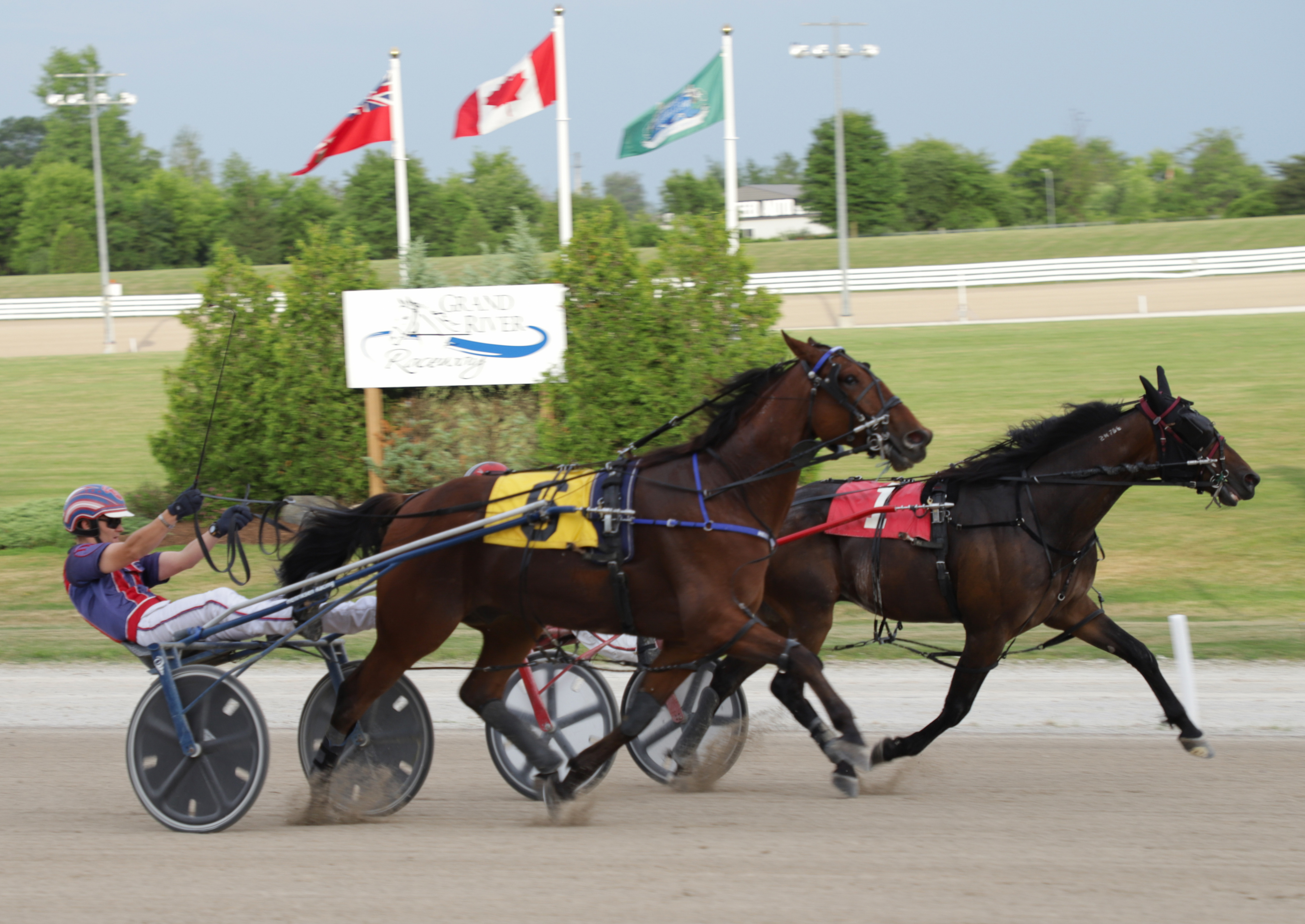 Michael Carter’s Grand River Raceway Selections: Friday, July 24, 2020