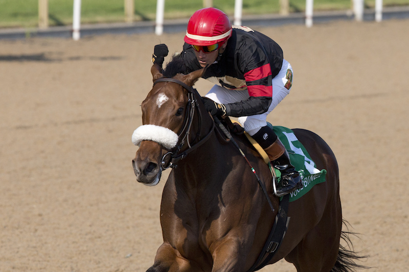 Holy Helena installed the 3-1 favourite for 158th Queen’s Plate