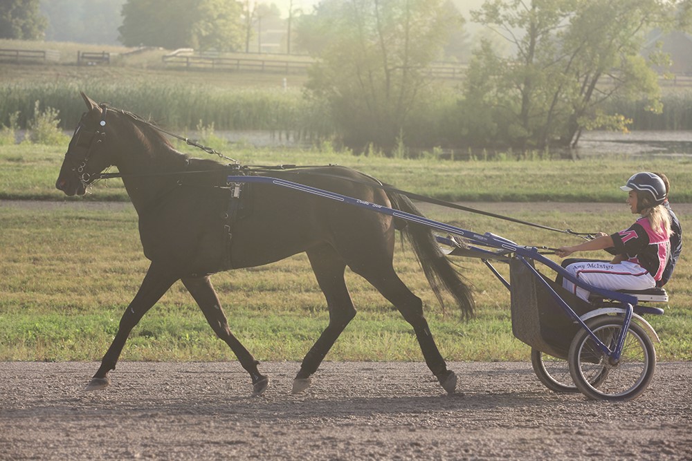 Breakfast Television profiles TheStable.ca and Ontario Racing