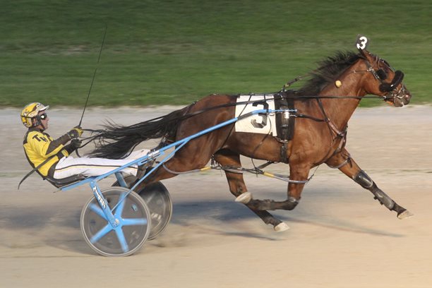 Henry captures three Gold divisions at Grand River Raceway