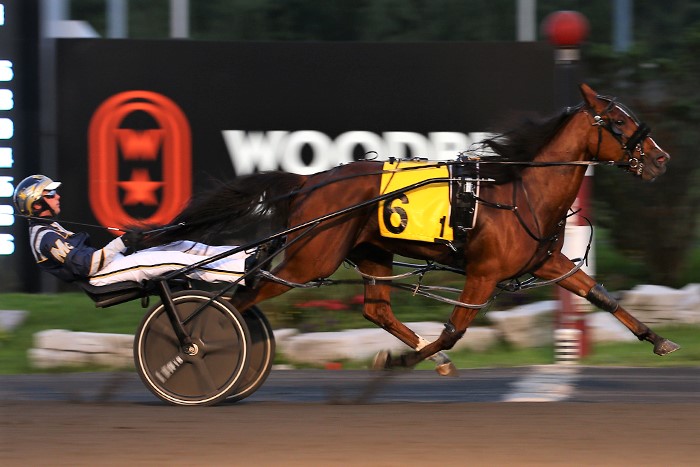 Grassroots double for Brethour in freshman pacing filly finale