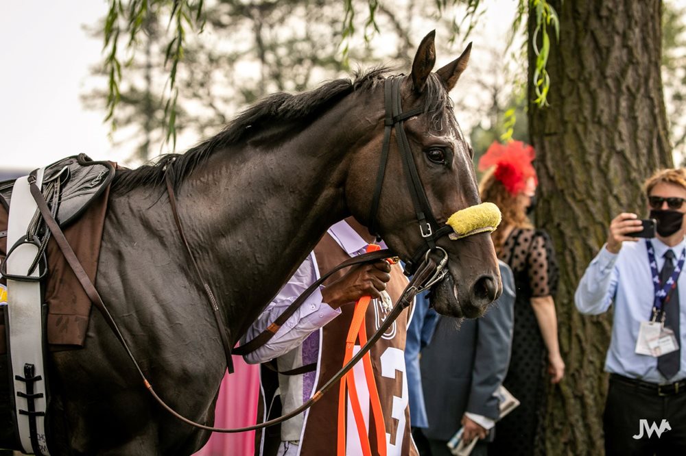 Jennifer Morrison’s Woodbine Thoroughbred Selections: Monday, September 6, 2021