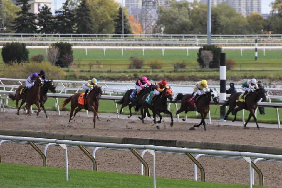 Jennifer Morrison S Woodbine Thoroughbred Selections Saturday October 31 2020 Ontario Racing