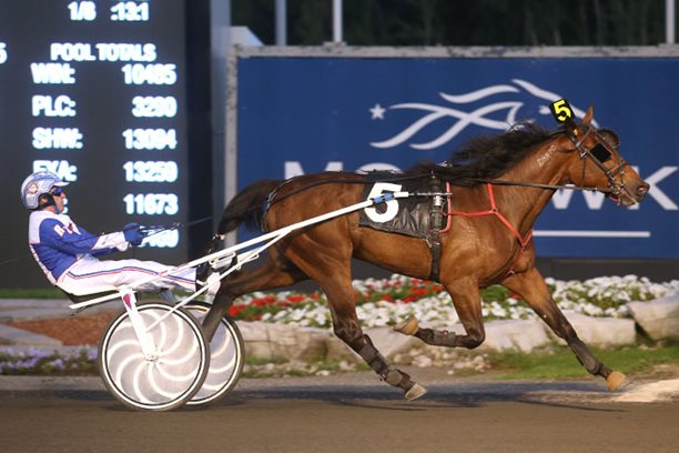 Two-year-olds deliver the goods in Grassroots Semi-finals