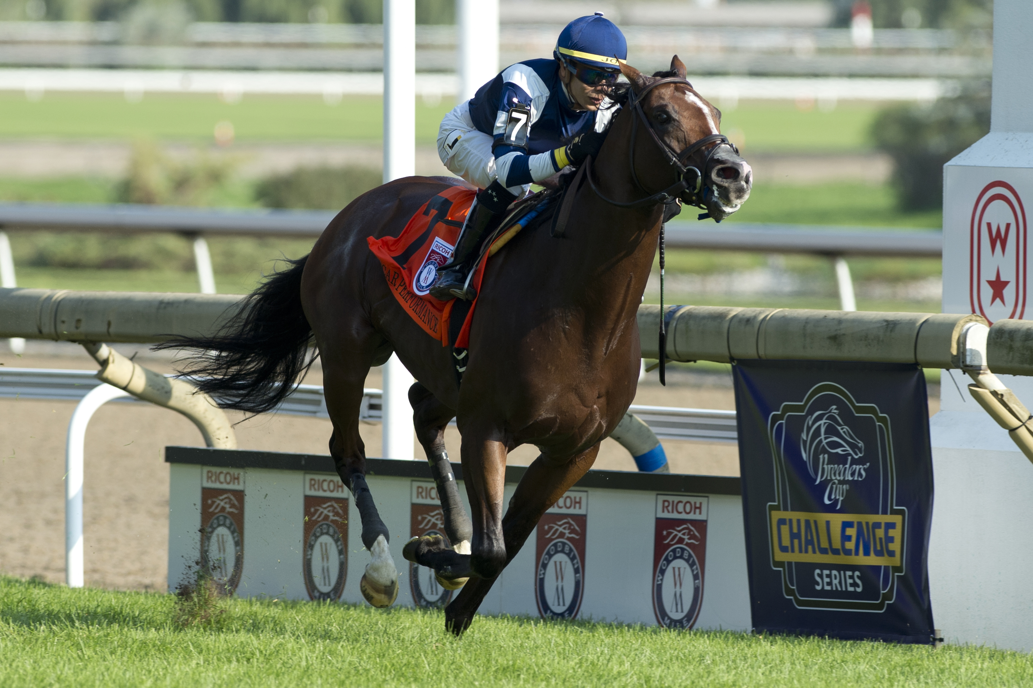 Oscar Performance pitch perfect in Ricoh Woodbine Mile