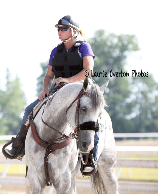 The Horse That Changed My Life - Quarter Horse edition